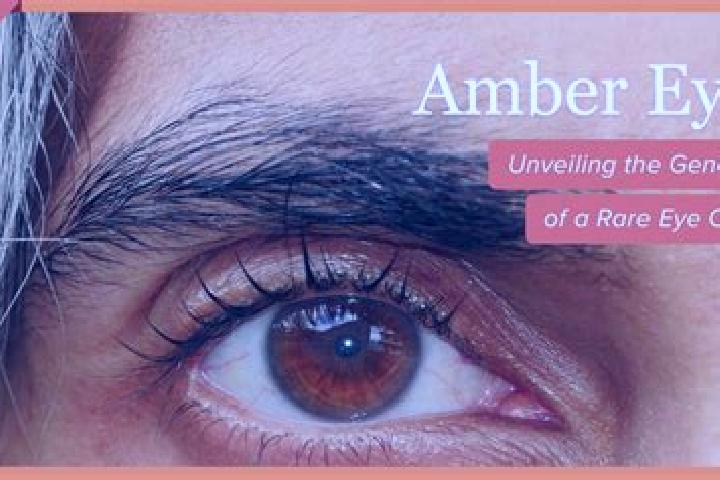 Ava, 29, a red amber-eyed indian companion based in Murchison. Offering A-Level, CIM, Dinner Date, Striptease. Available for incall and outcall, day and even...