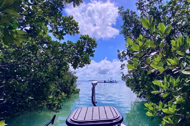 Ava, 29 — Escort in Cudjoe Key, United States