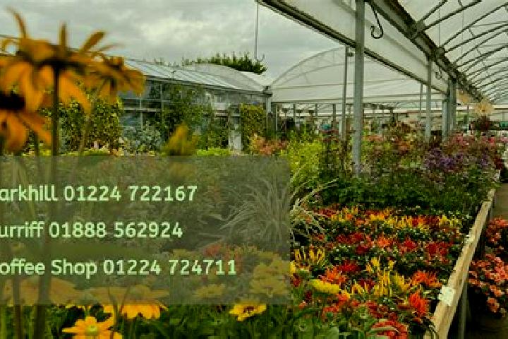 Ava, 29 — Escort in Parkhill, Canada