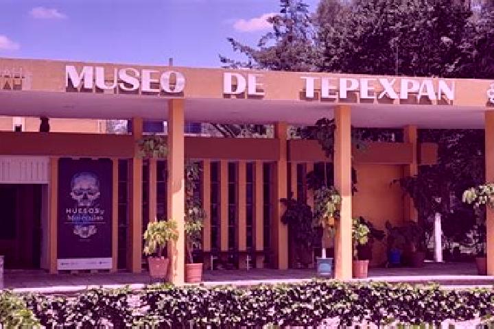 Ava, 29 — Escort in Tepexpan, Mexico