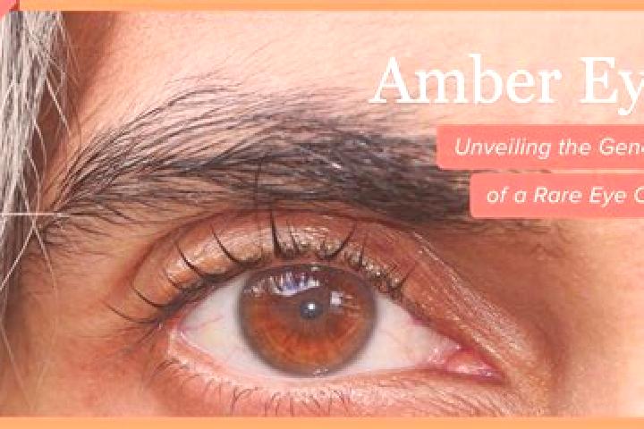 Ava, 30, a black amber-eyed caucasian companion based in Colotitlan. Offering Overnight, Domination, Prostate Massage. Available for incall and outcall, day ...