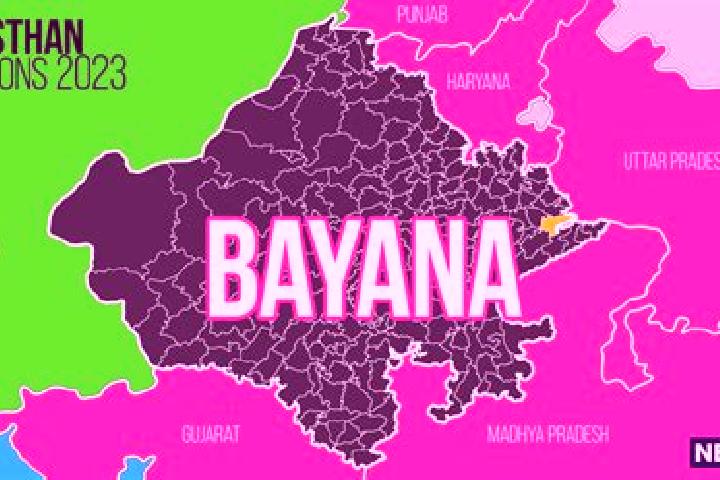 Ava, 30 — Escort in Bayana, India