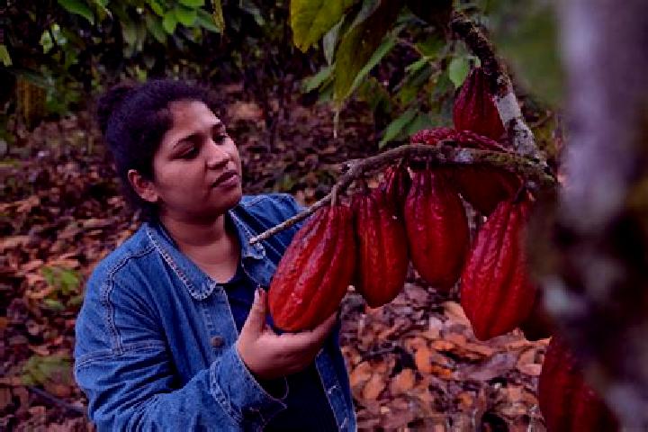Ava, 30 — Escort in Cacao, Mexico