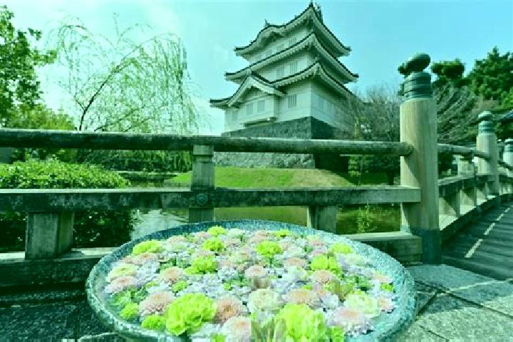 Ava, 30 — Escort in Gyoda, Japan