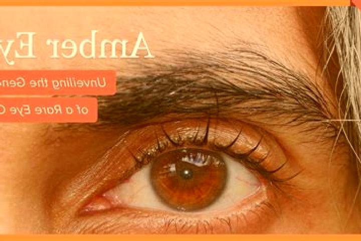 Ava, 31, a red amber-eyed mediterranean companion based in Buxar. Offering Dinner Date, GFE, 69. Available for incall and outcall, day and evening dates.
