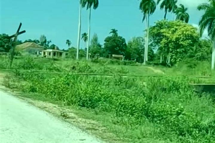 Ava, 31 — Escort in Corralillo, Cuba