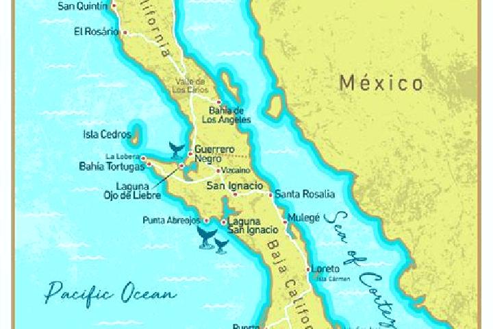 Ava, 31 — Escort in Manzana Sexta Parte Baja, Mexico