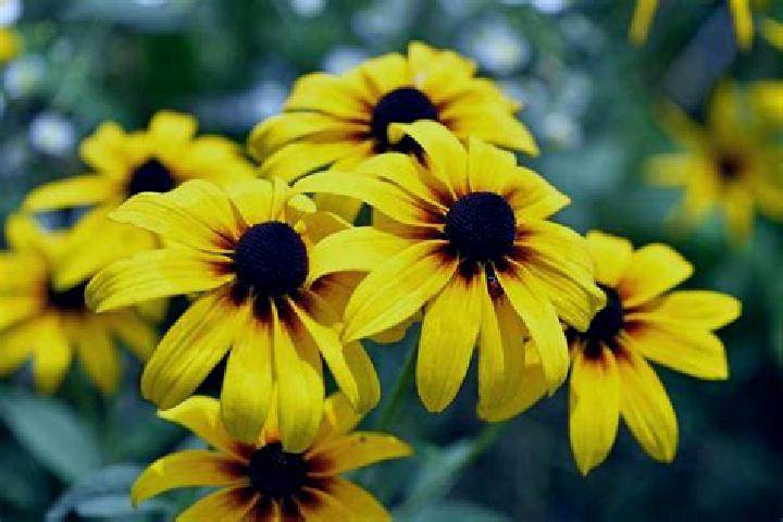 Ava, 32, a blonde grey-eyed asian companion based in Kafr Dan. Offering CIM, Roleplay, Erotic Massage, Overnight, Striptease. Available for incall and outcal...