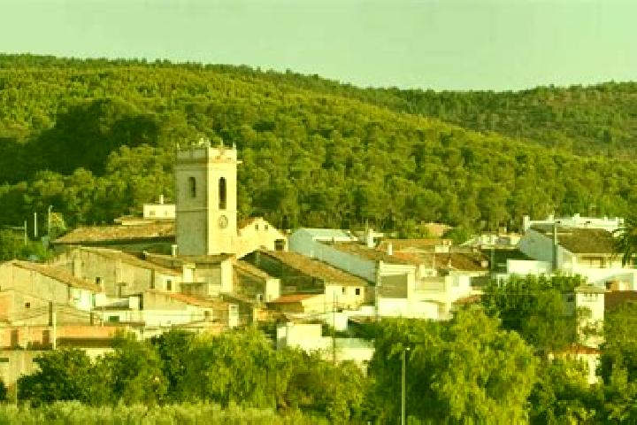 Ava, 32 — Escort in Atzeneta d Albaida, Spain