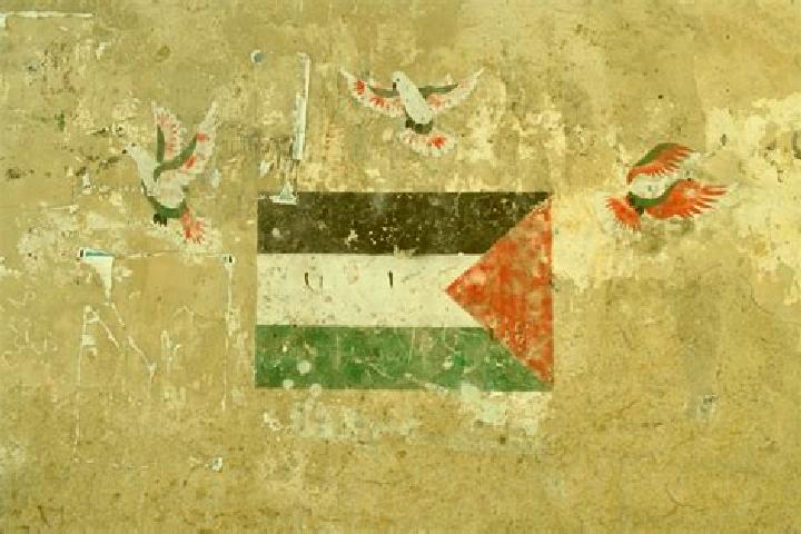 Ava, 32 — Escort in Bani Zayd ash Sharqiyah, Palestine