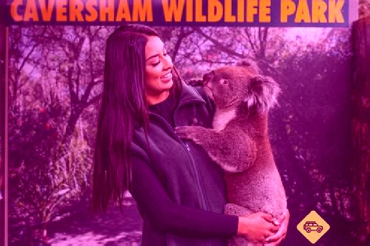 Ava, 32 — Escort in Caversham, New Zealand