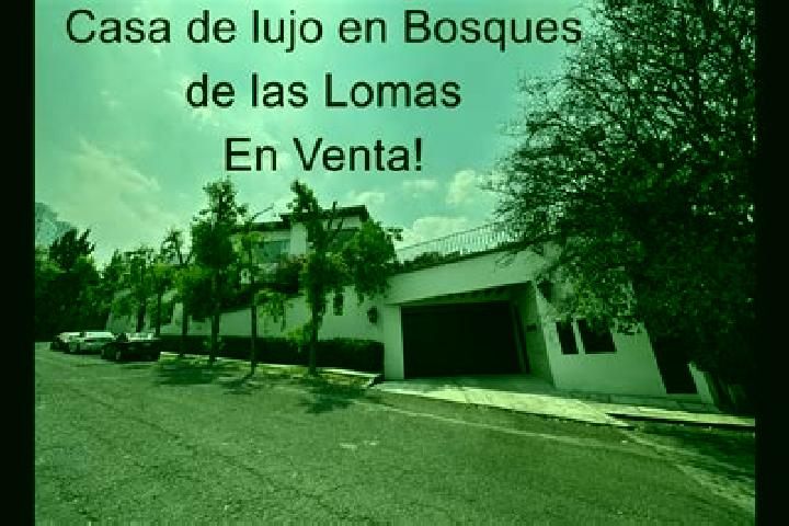 Ava, 32 — Escort in Lomas de Santa Cruz, Mexico