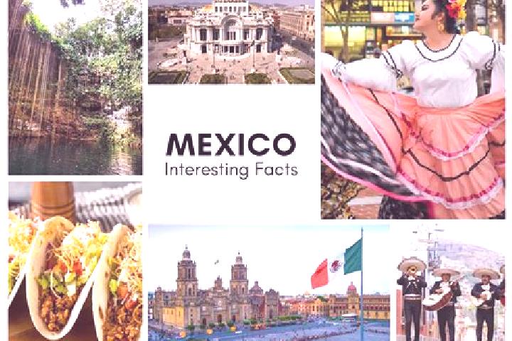 Ava, 32 — Escort in Maxmadi, Mexico