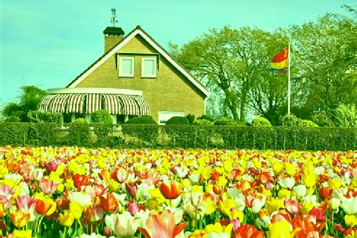 Ava, 32 — Escort in Warder, Netherlands