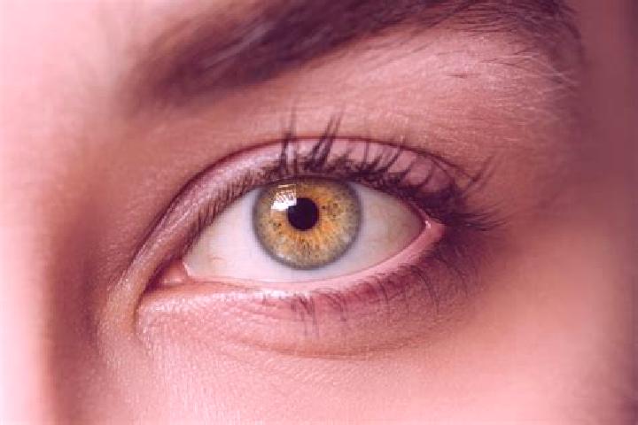 Ava, 33, a black hazel-eyed mediterranean companion based in Santos Reyes Tepejillo. Offering Travel Companion, Girlfriend Experience, Prostate Massage, Over...