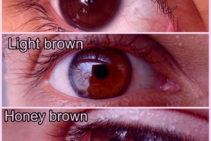 Ava, 33, a chestnut amber-eyed slavic companion based in Measham. Offering Tantra, Massage, GFE, Party Girl. Available for incall and outcall, overnight book...