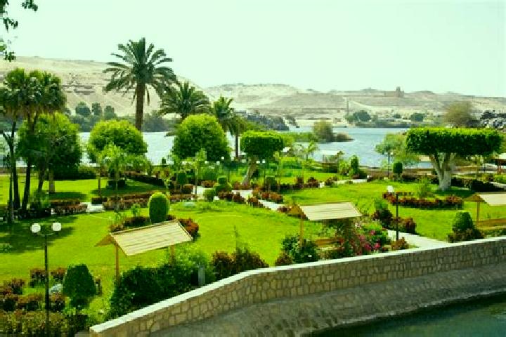 Ava, 33 — Escort in Aswan, Egypt