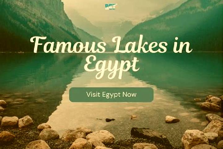 Ava, 33 — Escort in Bush, Egypt