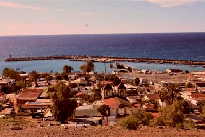 Ava, 33 — Escort in Isla Cedros, Mexico