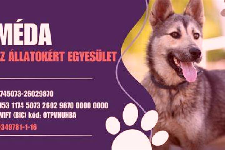 Ava, 33 — Escort in Kunhegyes, Hungary
