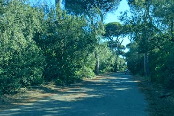 Ava, 33 — Escort in Lido di Castel Fusano, Italy