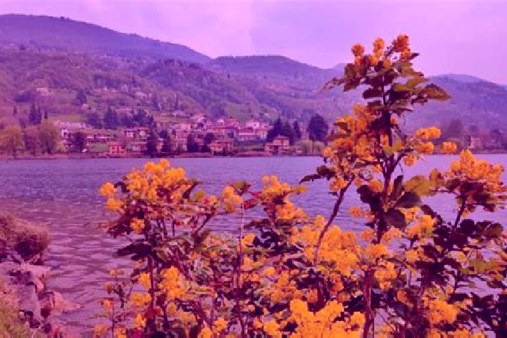 Ava, 33 — Escort in Monasterolo del Castello, Italy