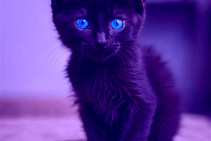 Ava, 34, a black blue-eyed mediterranean companion based in Jingu. Offering BDSM, Massage, Overnight, Dinner Date, Roleplay. Available for incall and outcall...