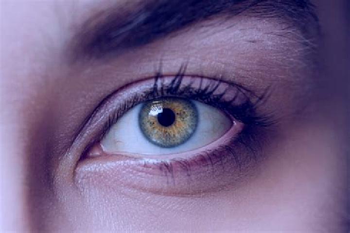 Ava, 34, a chestnut hazel-eyed mixed companion based in Rummen. Offering GFE, OWO, A-Level, Fetish, Girlfriend Experience. Available for incall and outcall, ...