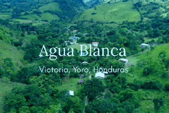 Ava, 34 — Escort in Agua Blanca Sur, Honduras