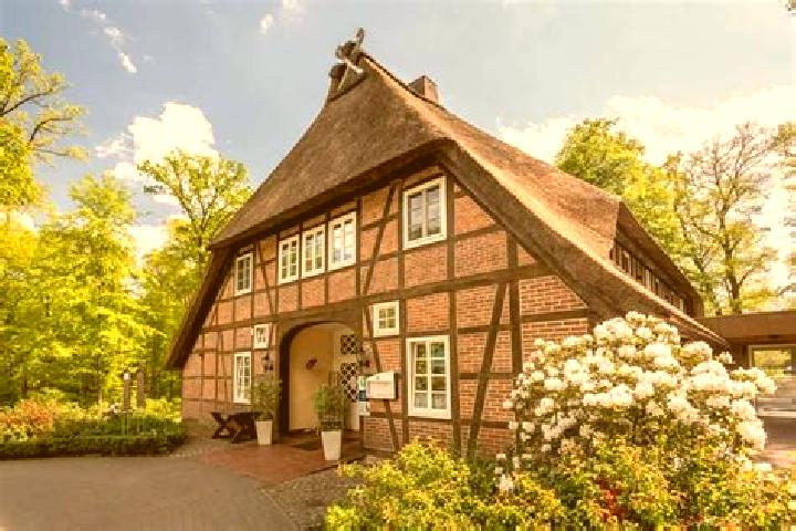 Ava, 34 — Escort in Bispingen, Germany