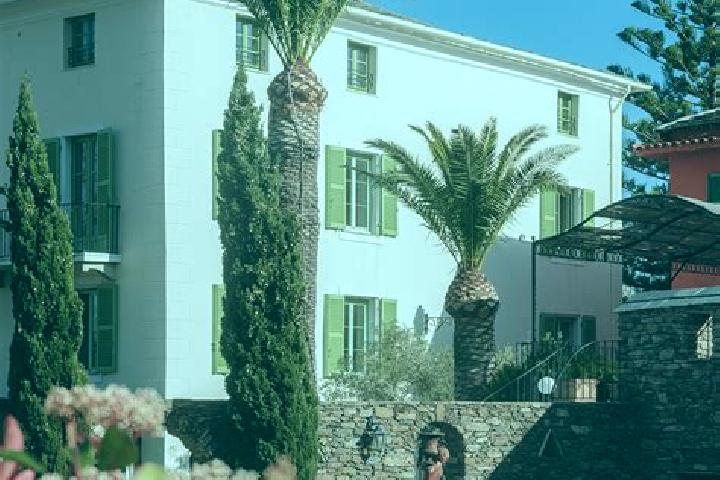 Ava, 34 — Escort in Brando, France