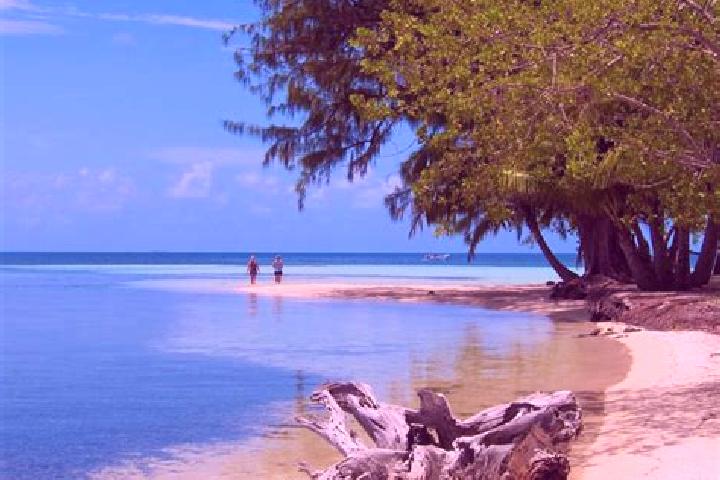 Ava, 34 — Escort in Duck Run 3, Belize