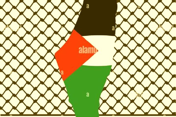 Ava, 34 — Escort in Efrata, Palestine