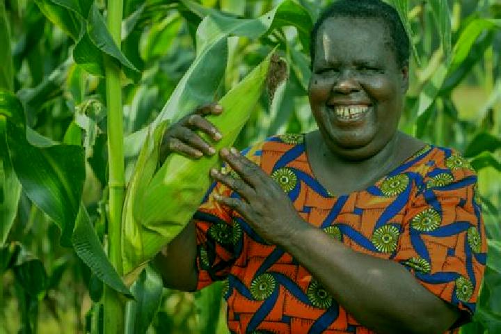 Ava, 34 — Escort in Maracha, Uganda
