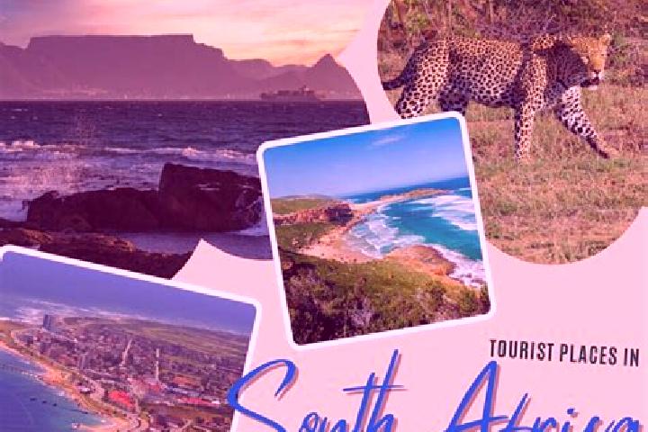 Ava, 34 — Escort in Rondebosch, South Africa