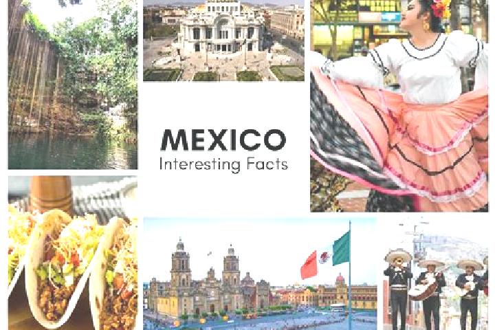 Ava, 34 — Escort in Sahcaba, Mexico