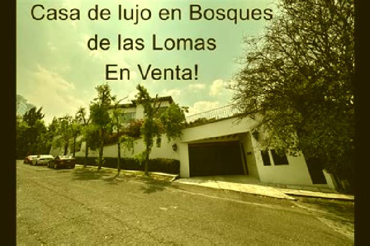 Ava, 34 — Escort in San Jose las Lomas, Mexico