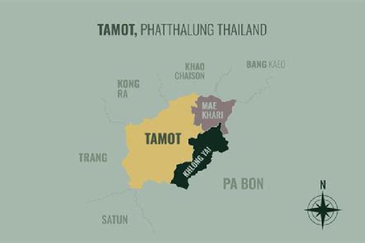 Ava, 34 — Escort in Tamot, Thailand