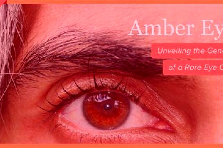 Ava, 35, a red amber-eyed mixed companion based in Chapulhuacan. Offering Striptease, Erotic Massage, 69. Available for incall and outcall, day and evening d...