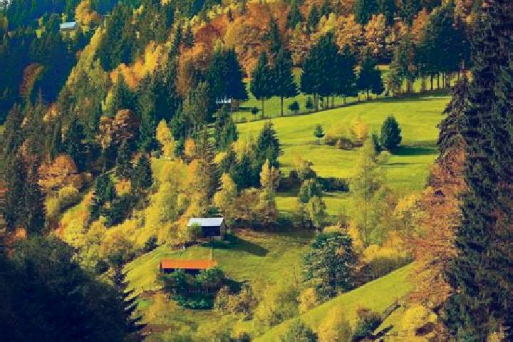 Ava, 35 — Escort in Brahasestii de Sus, Romania