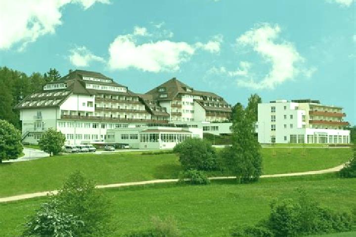 Ava, 35 — Escort in Grossgmain, Austria
