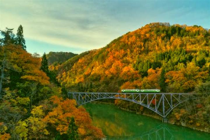 Ava, 35 — Escort in Tadami, Japan