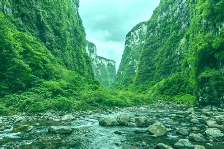 Ava, 35 — Escort in Tangara da Serra, Brazil