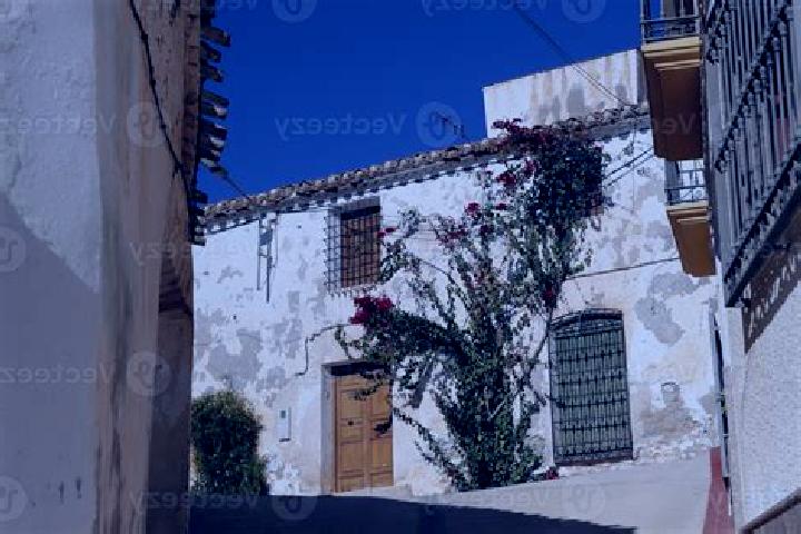 Ava, 35 — Escort in Uleila del Campo, Spain