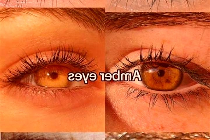 Ava, 36, a chestnut amber-eyed mixed companion based in Kalinin. Offering Overnight, Striptease, CIM, Massage. Available for incall and outcall, overnight bo...