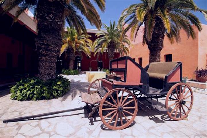 Ava, 36, a chestnut grey-eyed mediterranean companion based in Lampazos de Naranjo. Offering BDSM, Girlfriend Experience, 69, Couples. Available for incall a...