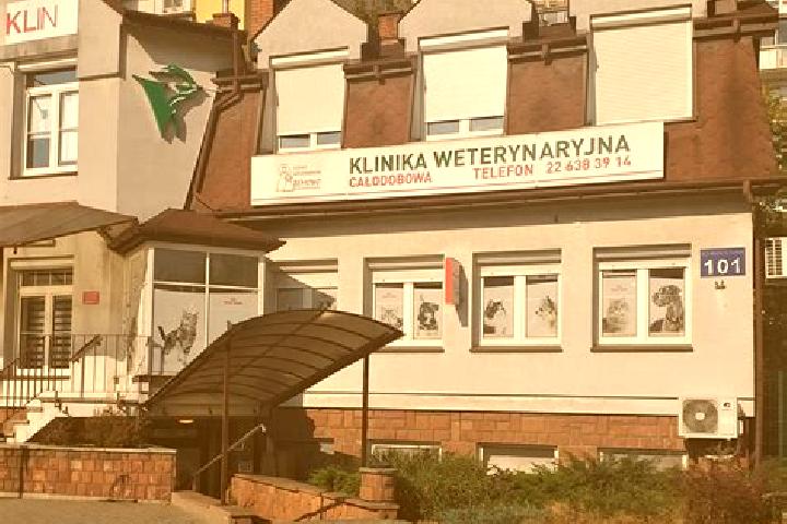 Ava, 36 — Escort in Powstancow Slaskich Zachod-Centrum Poludniow, Poland