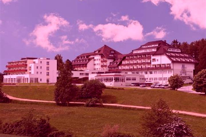 Ava, 36 — Escort in Schwanberg, Austria