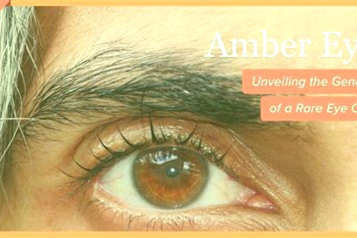 Ava, 37, a black amber-eyed mediterranean companion based in Bogyiszlo. Offering Travel Companion, A-Level, OWO. Available for incall and outcall, day and ev...