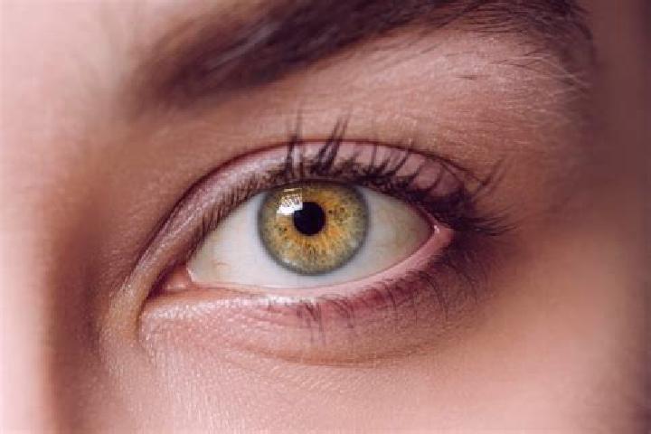 Ava, 37, a blonde hazel-eyed mixed companion based in Buttapietra. Offering Tantra, Dinner Date, GFE, Massage. Available for incall and outcall, overnight bo...